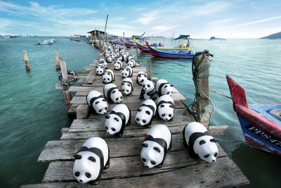 WWF 1600 Pandas